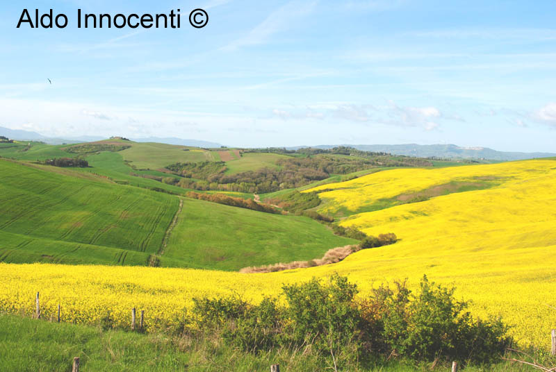 VAL D'ASSO: PAESAGGIO 8' IMMAGINE